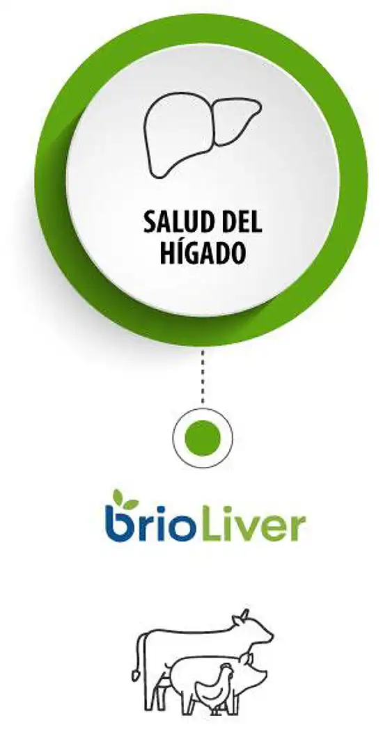 card-brioliver