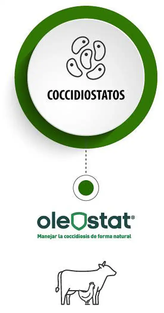 card-olestat