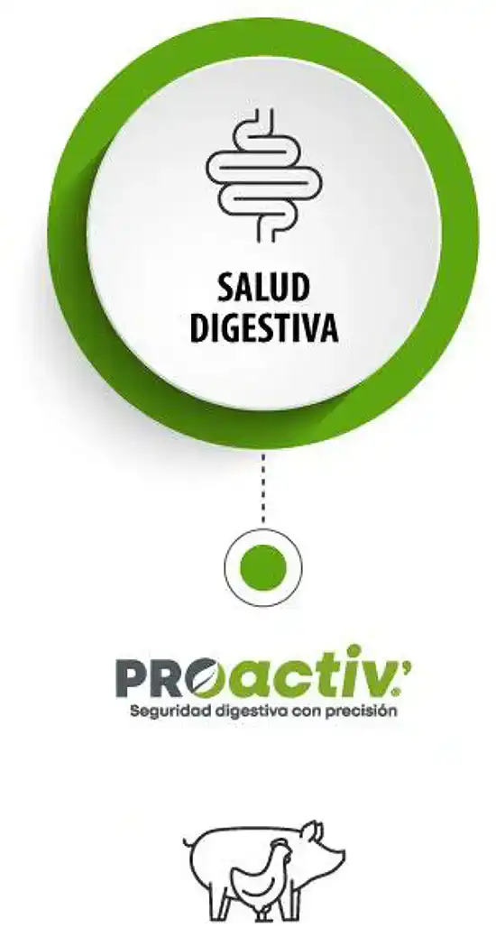 card-proactiv