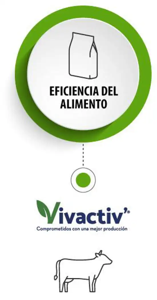 card-vivactiv